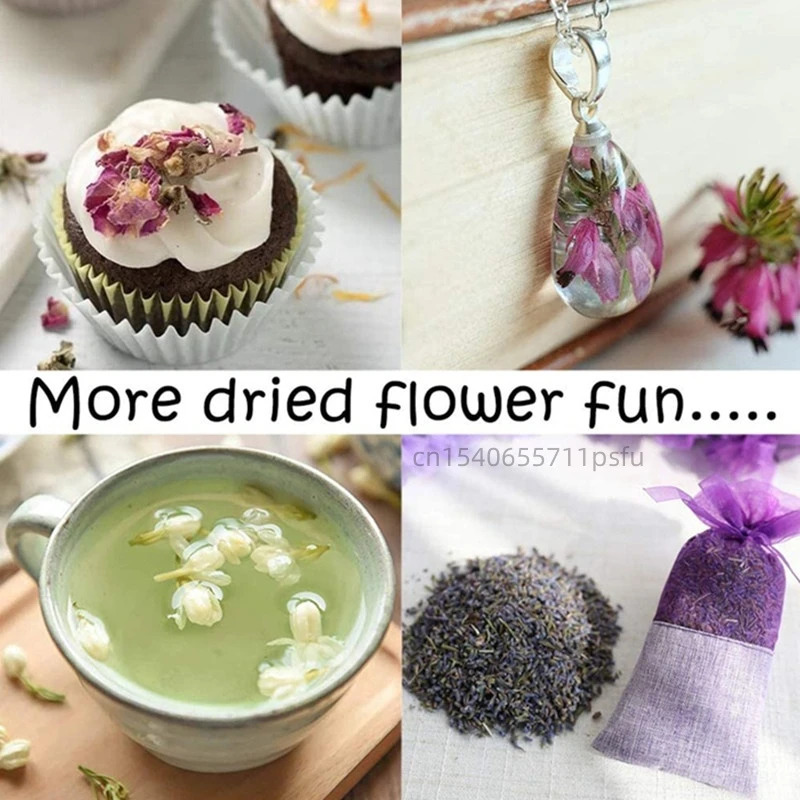 Flores secas naturais de alta  - Candle Making Bath avaliação e preço