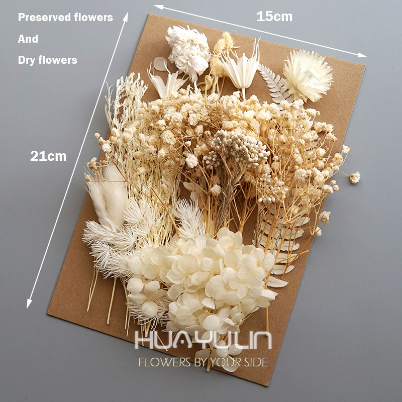 1 pacote de plantas artificiai - Candle Making Activity avaliação e preço
